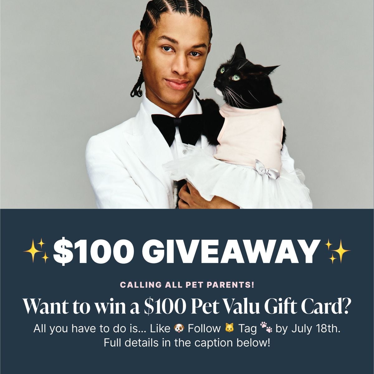 Pet Valu Instagram Contest