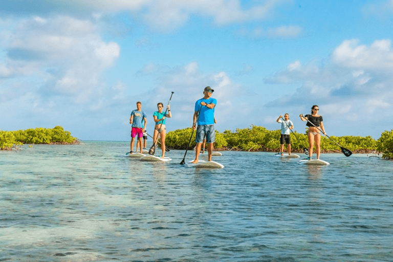 Why the Turks and Caicos Islands Are the Caribbean’s Most Stylish Escape