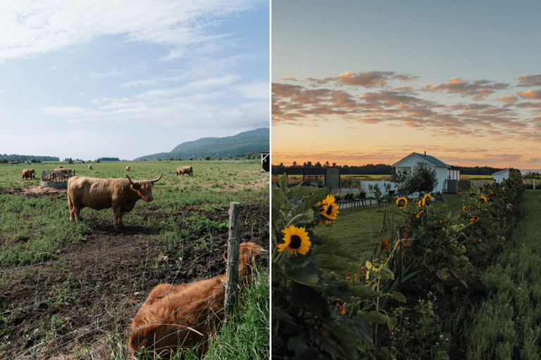 This Quebec Town Should Be Your Next Long-Weekend Destination