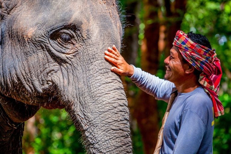 One Writer Experienced All of Thailand's Offerings, From a 5-Star Resort to Glamping. Here Are Her Top 5