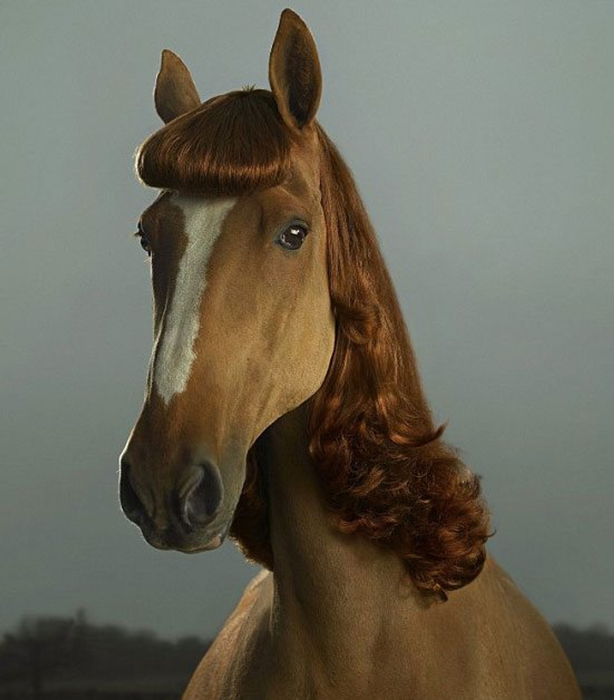 Photo by Julian Wolkenstein