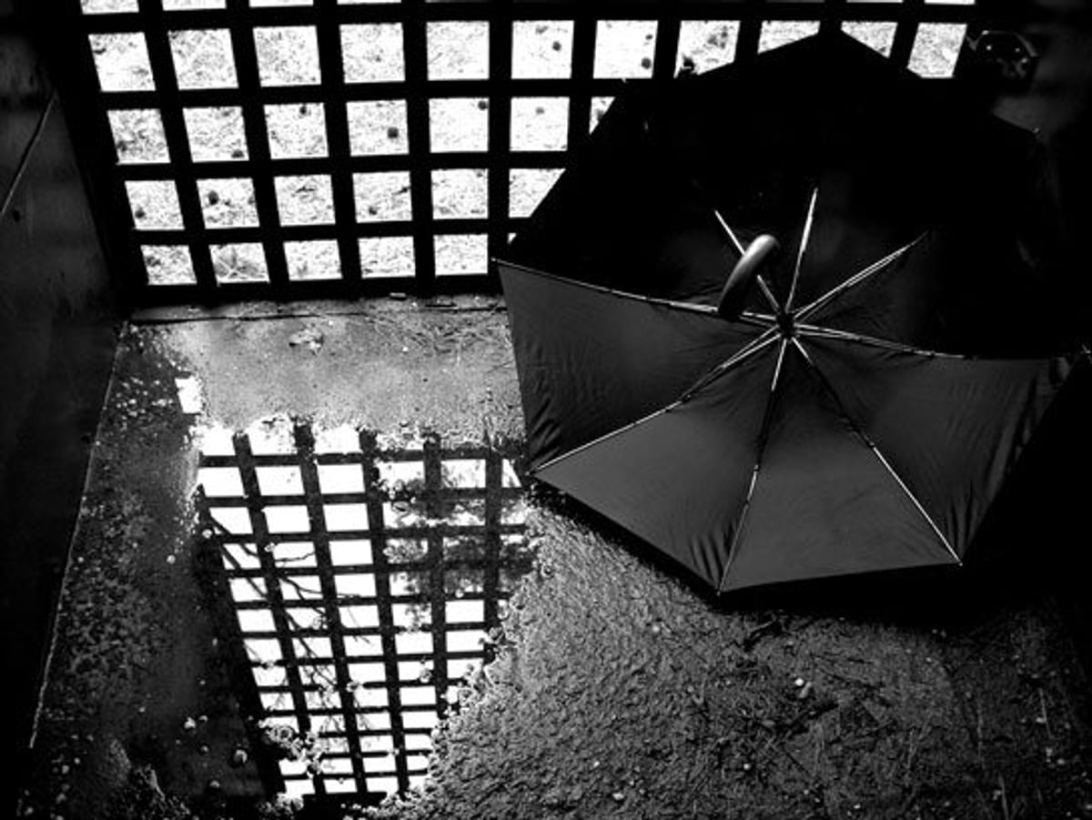 Photography by wheat_in_your_hair