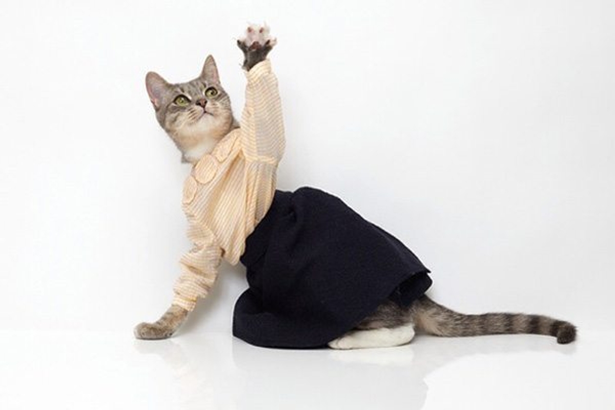 We'll take any opportunity to say "haute catoure"