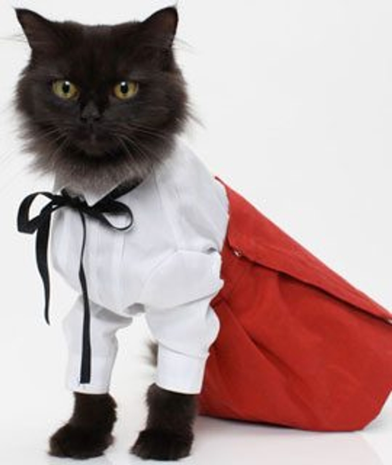 We'll take any opportunity to say "haute catoure"