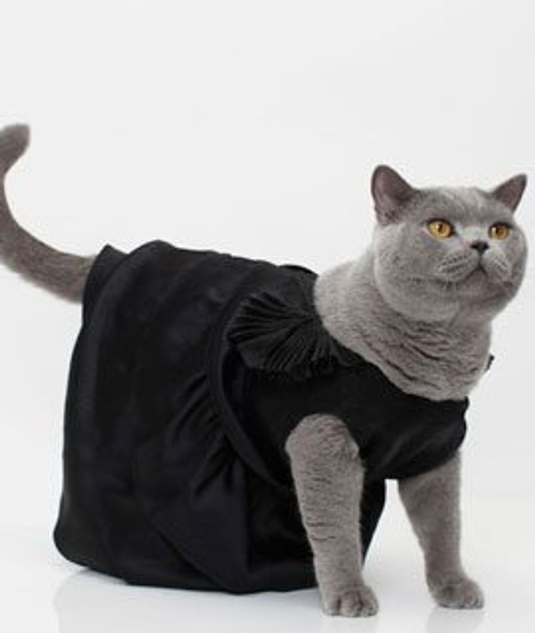 We'll take any opportunity to say "haute catoure"