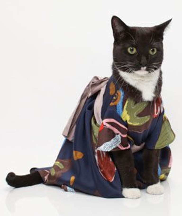 We'll take any opportunity to say "haute catoure"