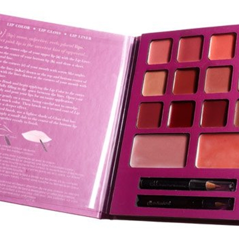 The daily steal: Lip colour palette, $11
