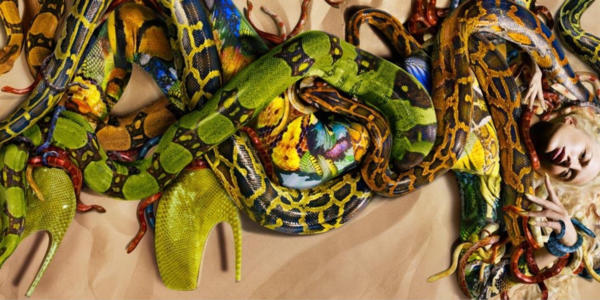 feb10mcqueensnakes