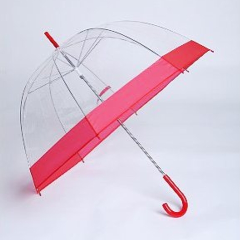The daily steal: Clear umbrella, $19
