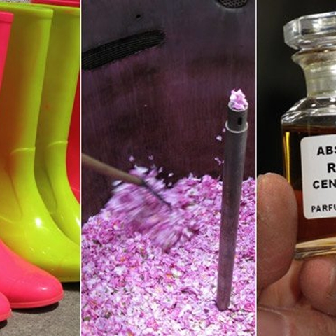Beauty behind-the-scenes: Touring Chanel’s rose fields