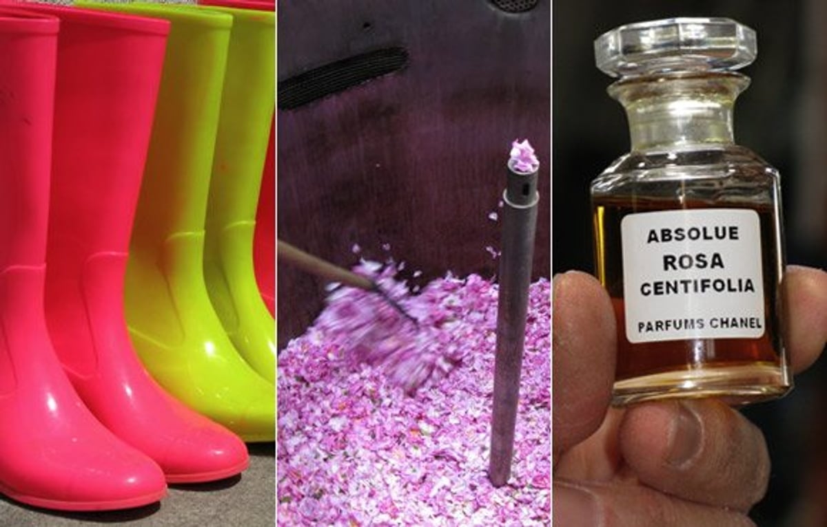 Beauty behind-the-scenes: Touring Chanel’s rose fields