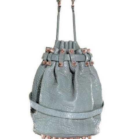 Alexander Wang lightens up his accessories for spring