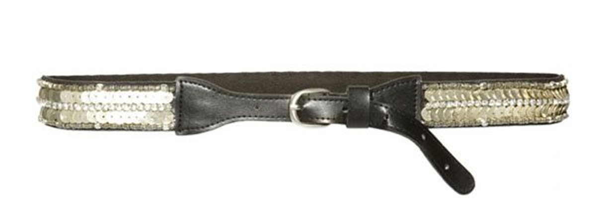 Daily steal: Sequined belt, $20