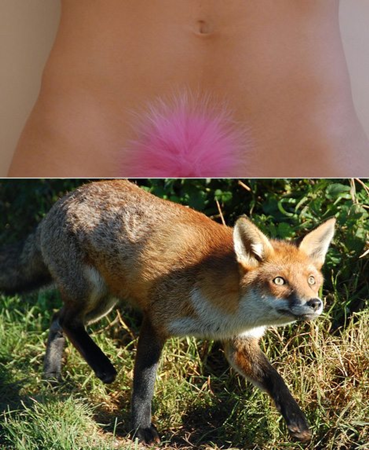 They said/We said: Wax off... fur on? The $225 hot pink "Foxy Bikini" wax