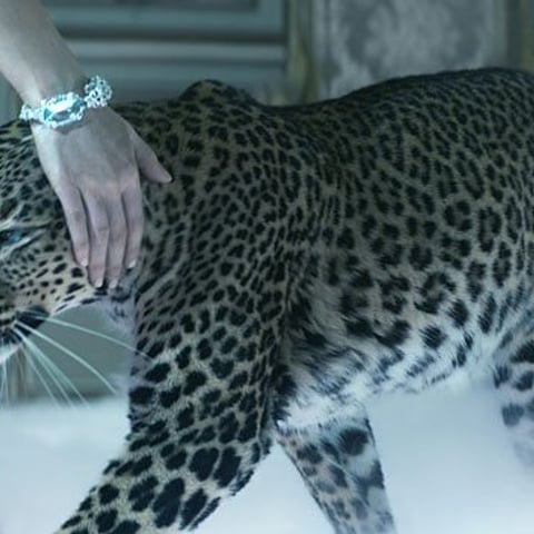 Cartier's new film features three live panthers, one Canadian supermodel, and millions of dollars in diamonds and gems
