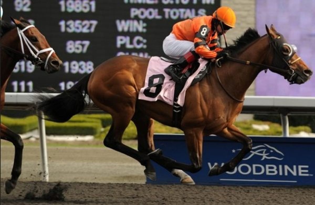 Photography courtesy of Woodbine Entertainment