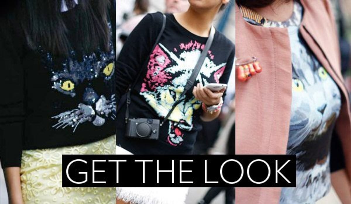 Get The Look Animal Prints