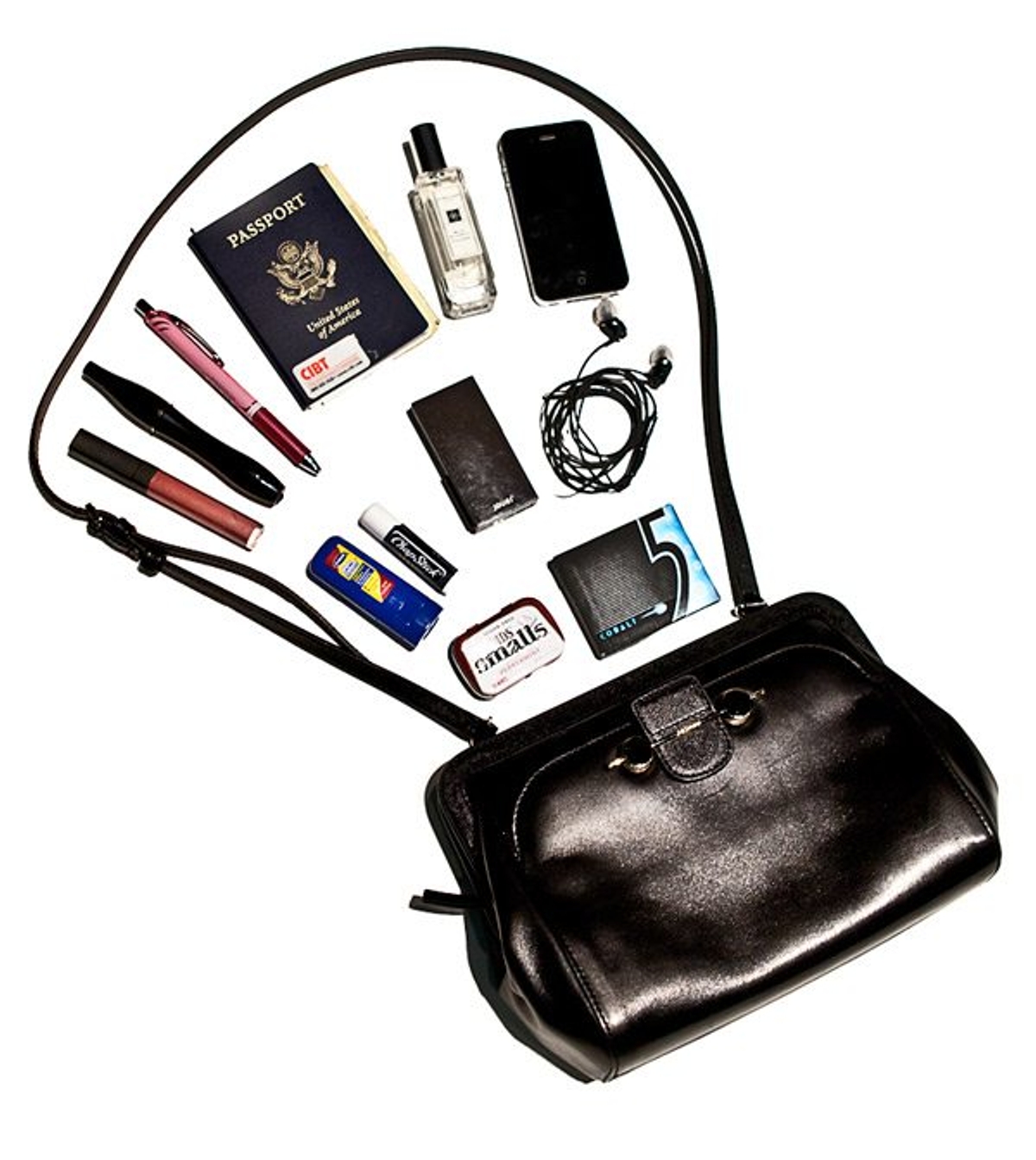 Allison Williams Purse
