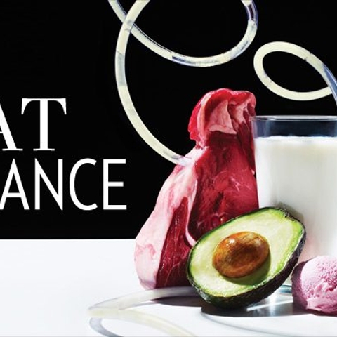Health: A new school of thought says good fat isn't a dietary demon