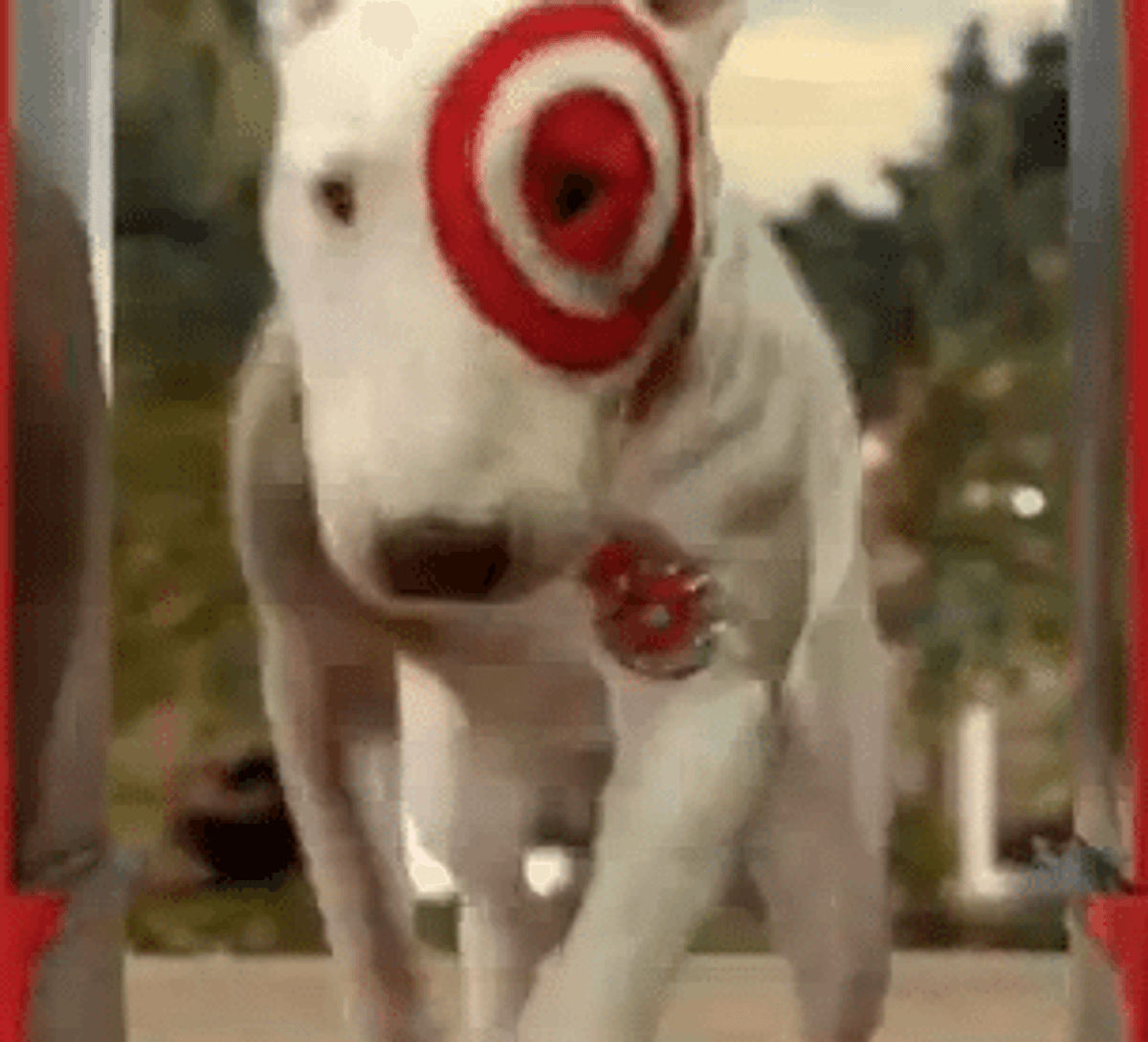 Update: The latest on Target Canada's launch