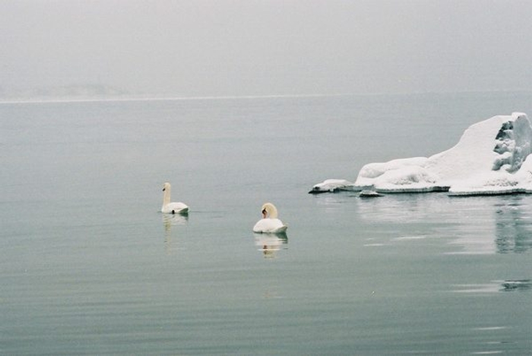 Fieldguided-snow-day