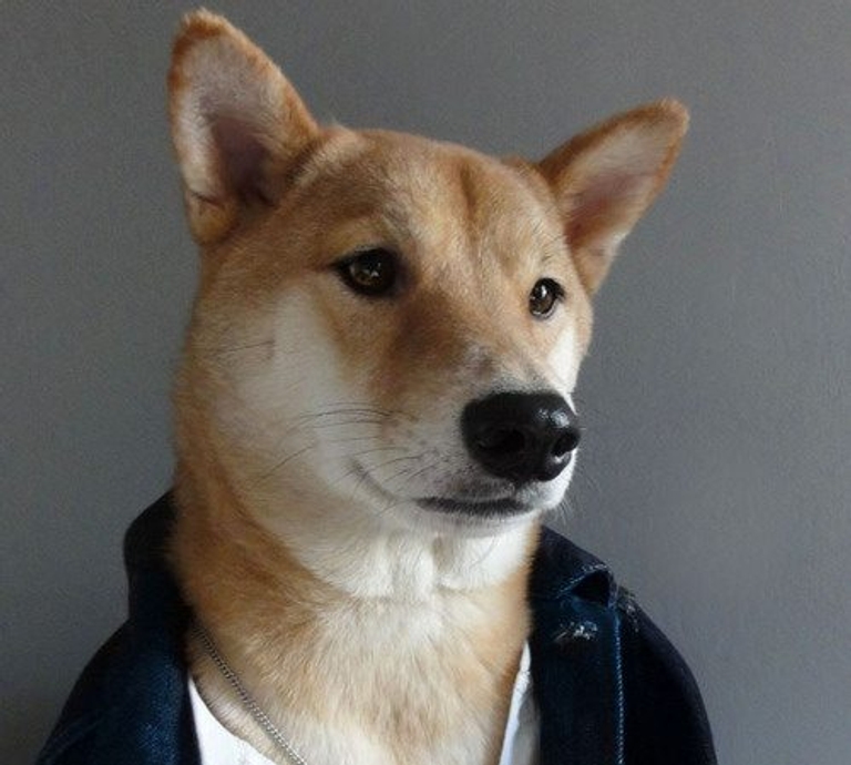Menswear-Dog