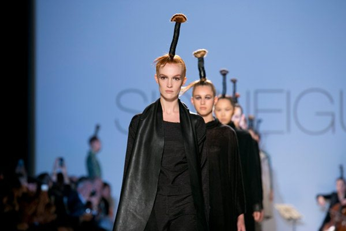 Sid Neigum Fall 2013