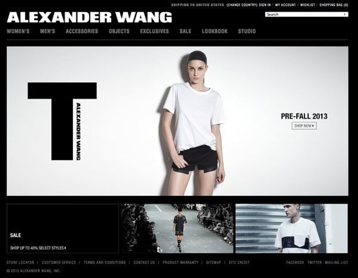 Alexander Wang Canadian e-commerce