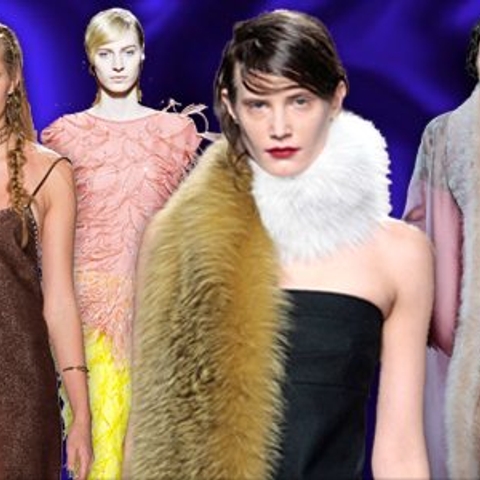 Boudoir Trend