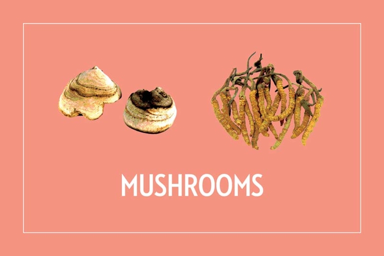 superfoods4