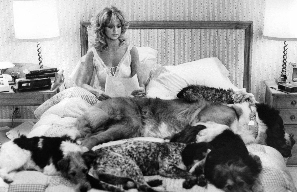 dog-sex-life