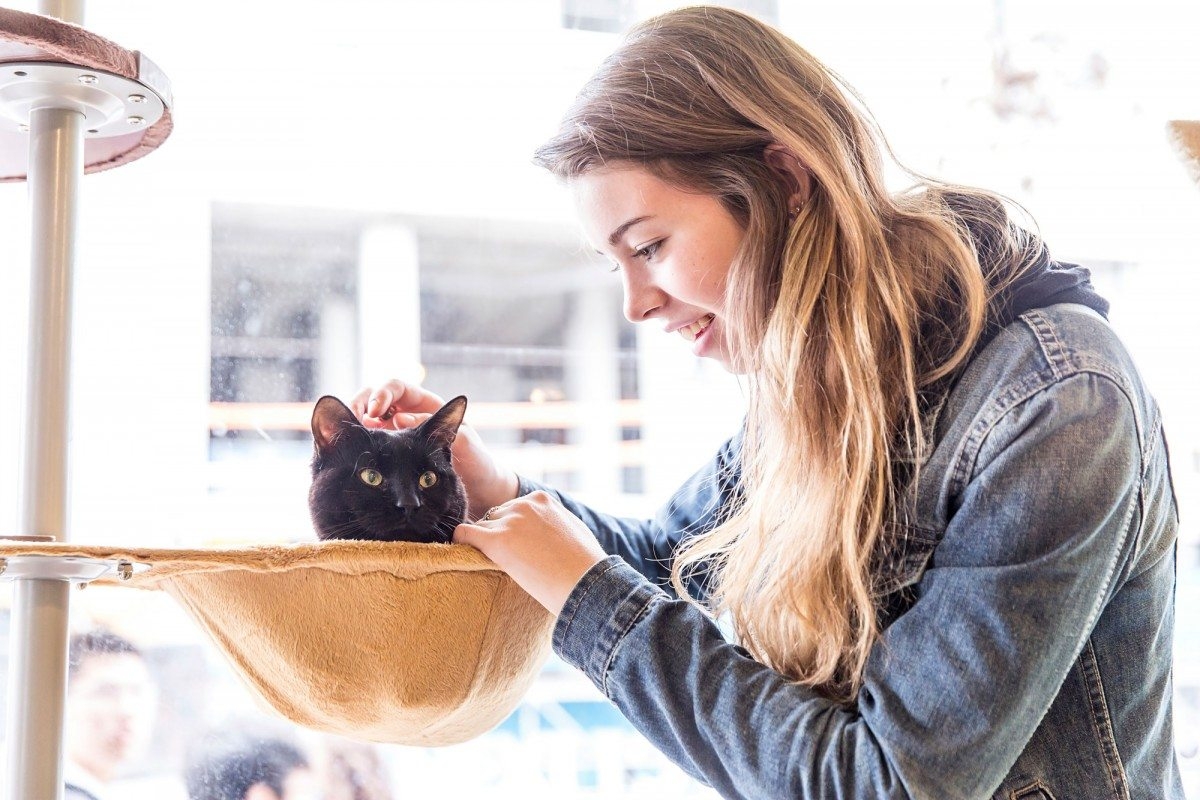 Street Style at Toronto’s new cat café: Yes, we went there