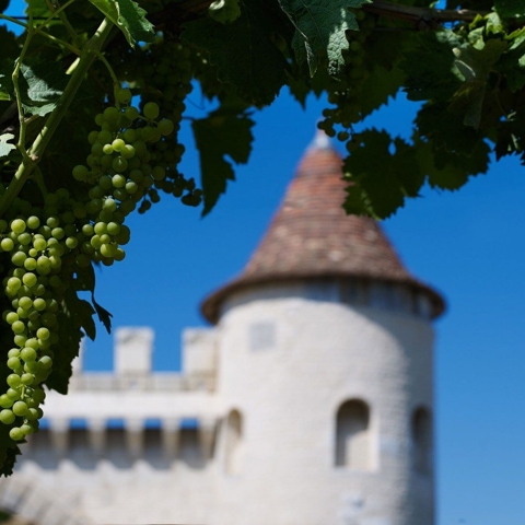 Savour the Flavours of France