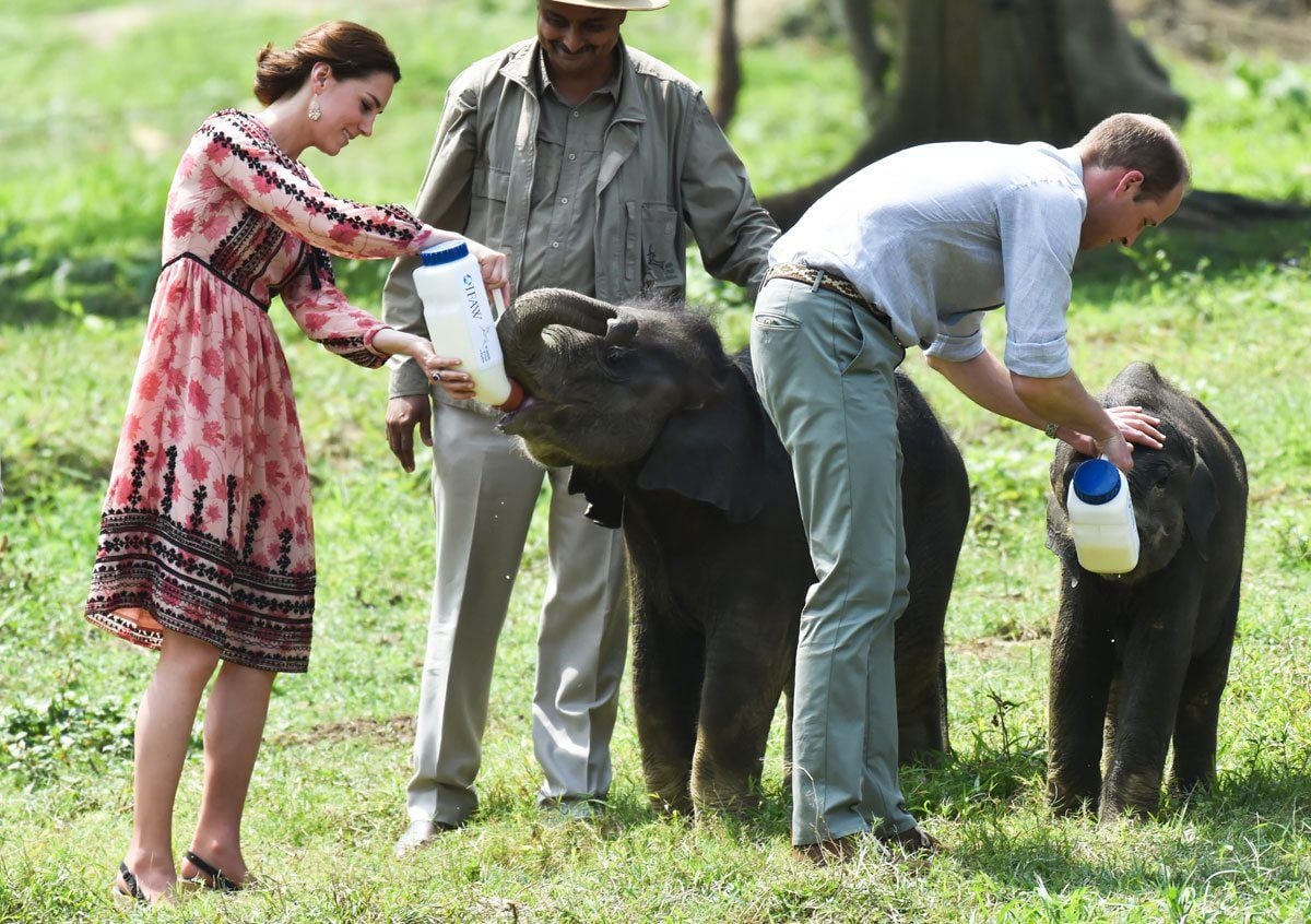 Kate Middleton India Safari Date
