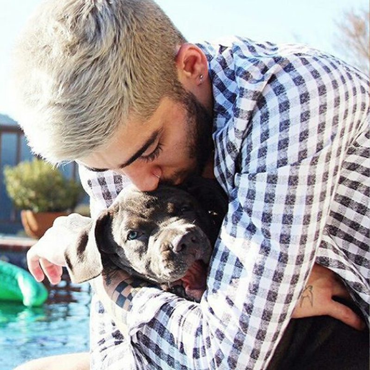 celebrities-dogs-pets-national-dog-day-09