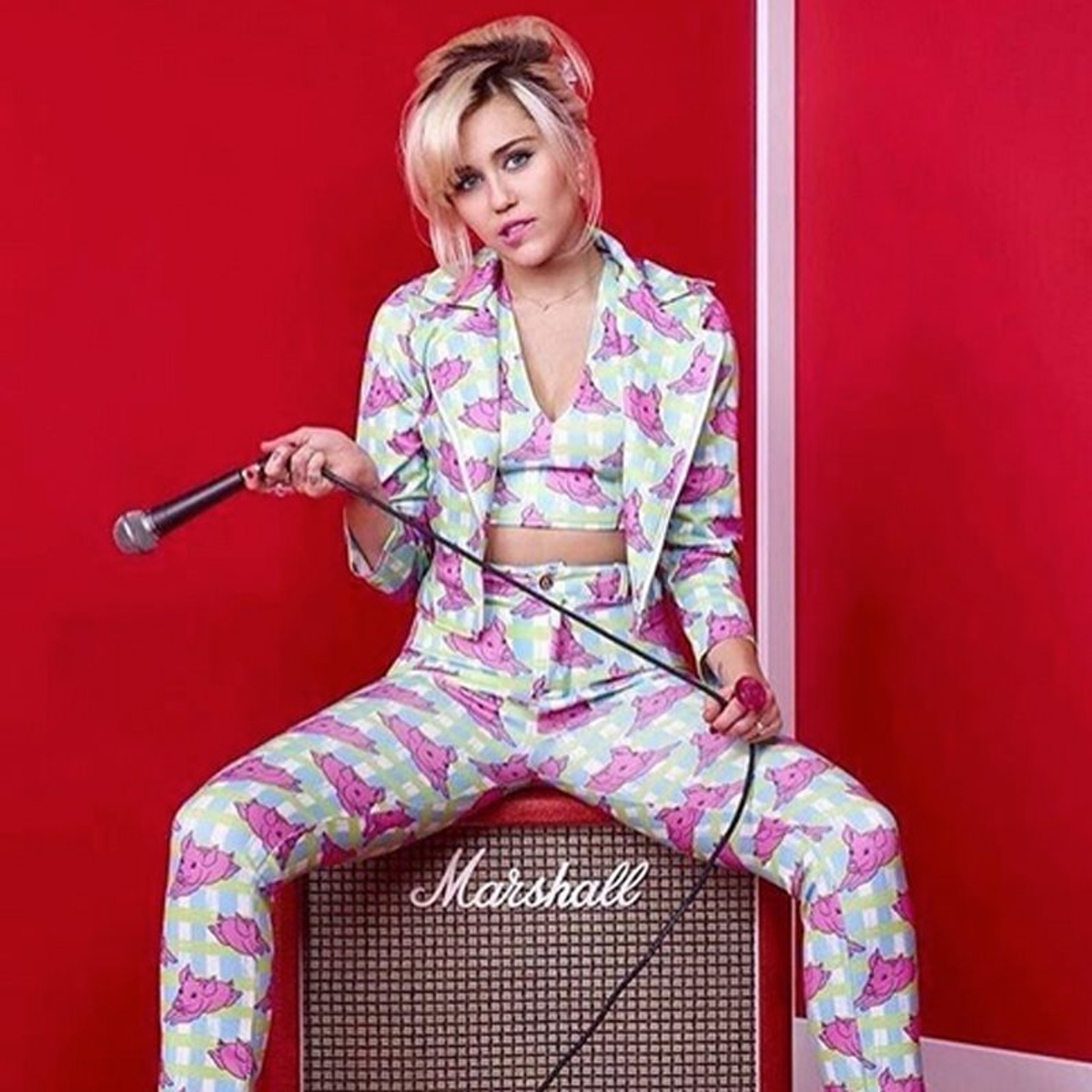hayley elsaesser miley cyrus