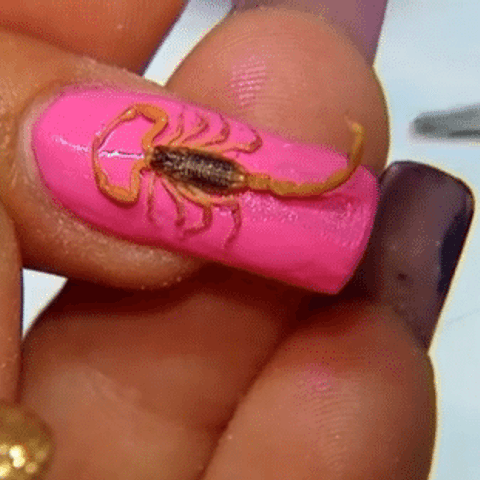 People Are Gluing Dead Scorpions Onto Their Nails and Calling It Nail Art