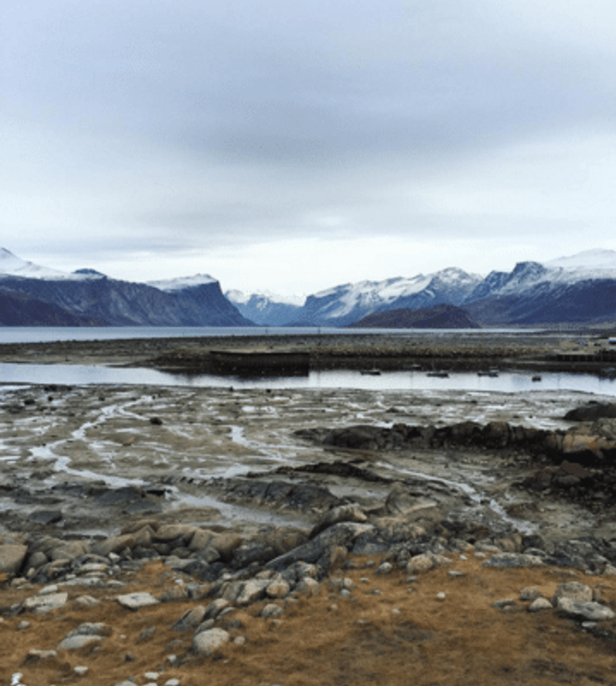 Canada Goose in Nunavut: The Most Remote Pop-up You’ll Ever Find
