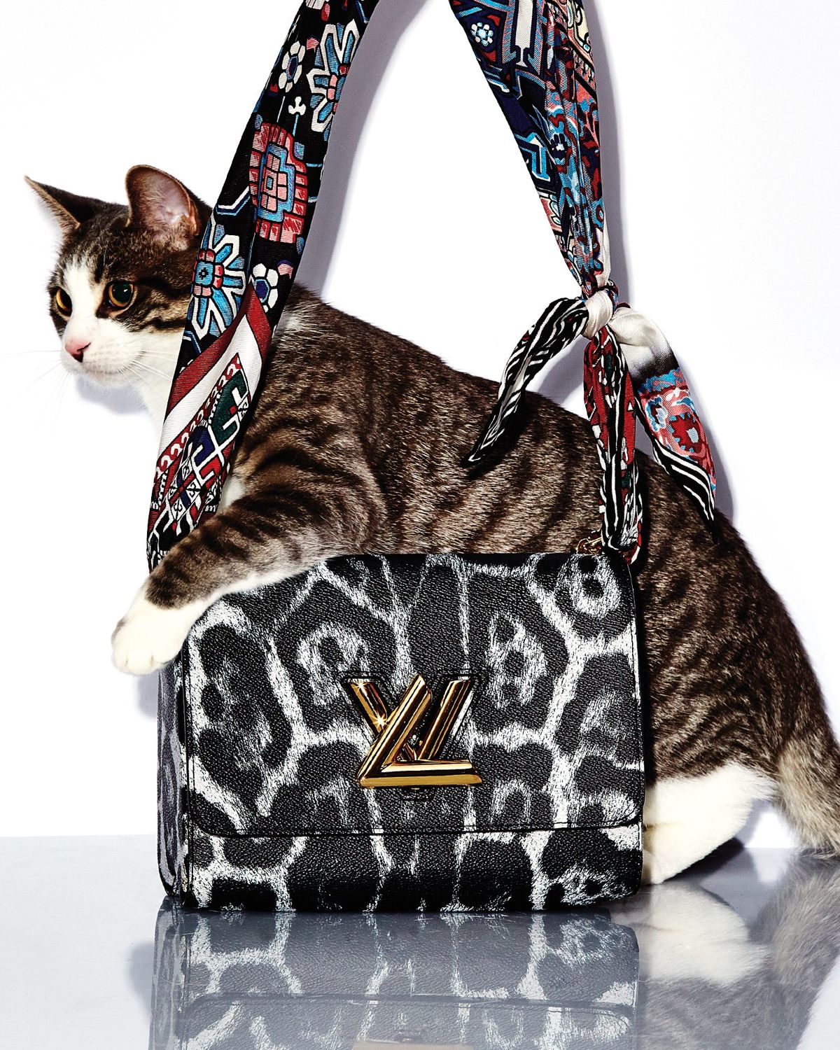 25 Cat-Inspired Pieces to Feed Your Feline Obsession on National Cat Day