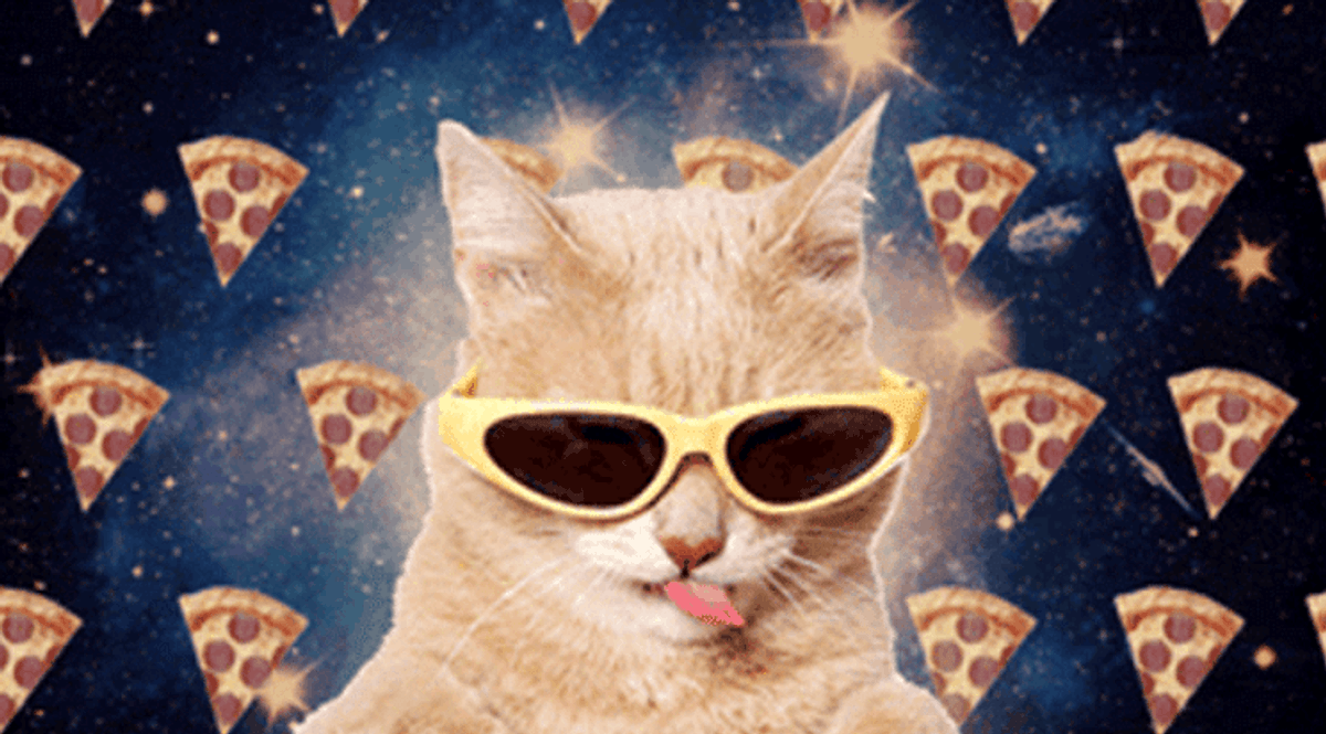 9 Cat Memes that Will Never, Ever Get Old