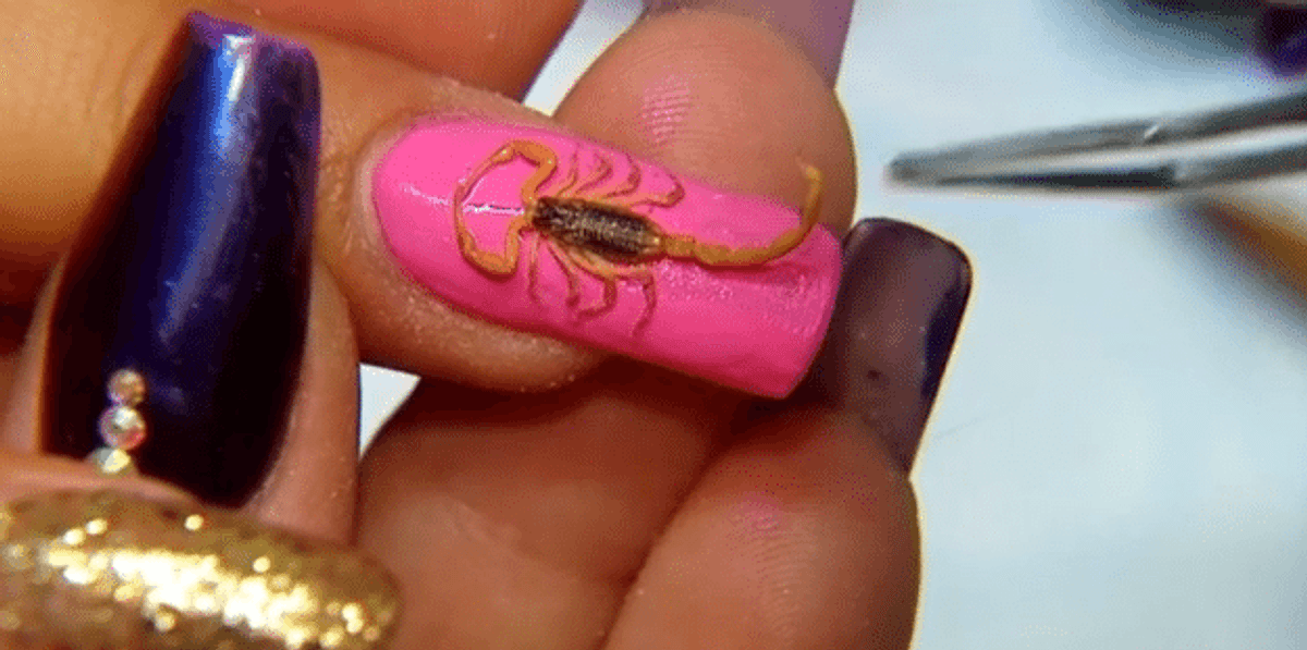 People Are Gluing Dead Scorpions Onto Their Nails and Calling It Nail Art