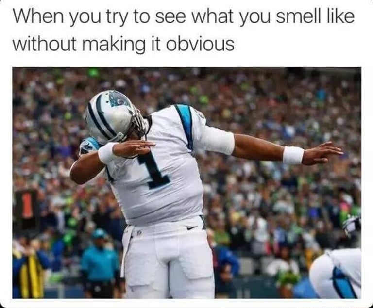 2016 in Review: The 10 Most Popular Memes of the Year