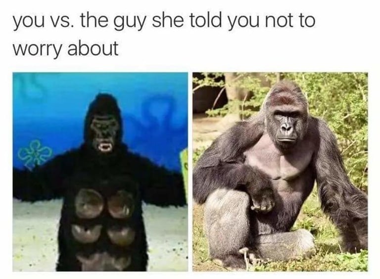 2016 in Review: The 10 Most Popular Memes of the Year