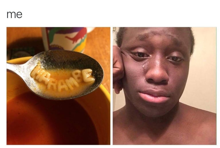 2016 in Review: The 10 Most Popular Memes of the Year