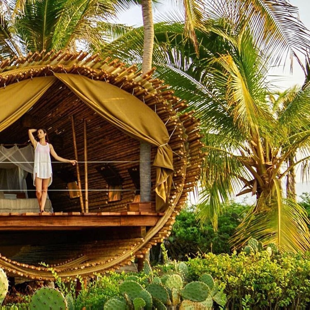 Eco-Tourism: I Vacationed in a Treehouse in Mexico