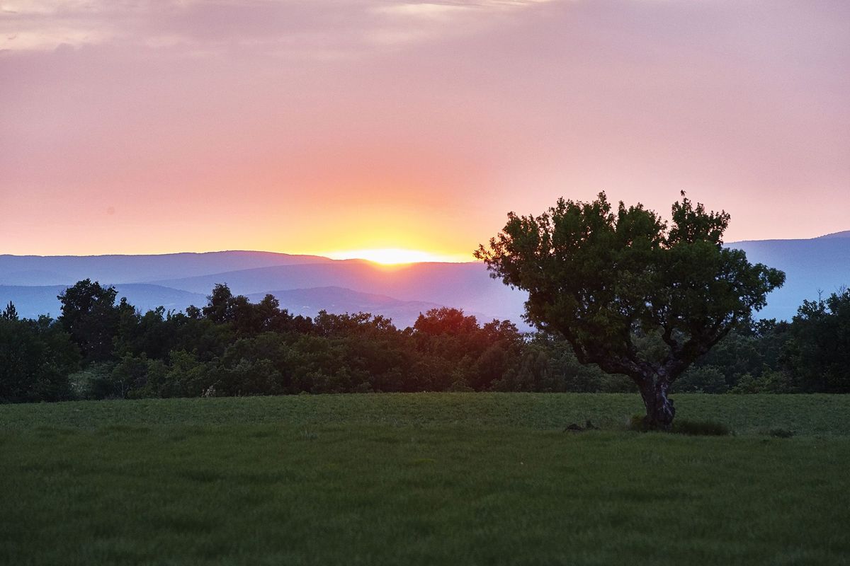 L'Occitane's New Terre de Lumière Perfume Smells Like a Sunset