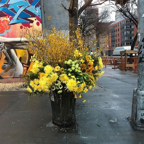 The 'Banksy' of Florists is Taking NYC Streets by Storm