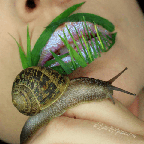 The Weirdest Lip Art Tools Ever Used (Including Bees and Snails!)