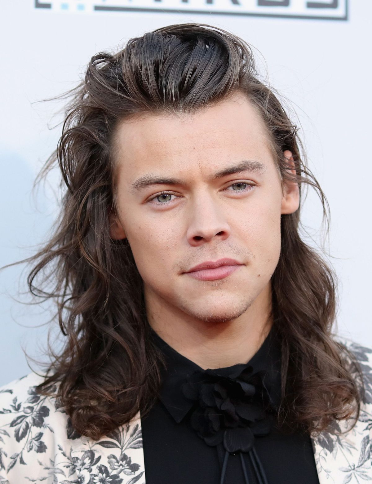 harry styles