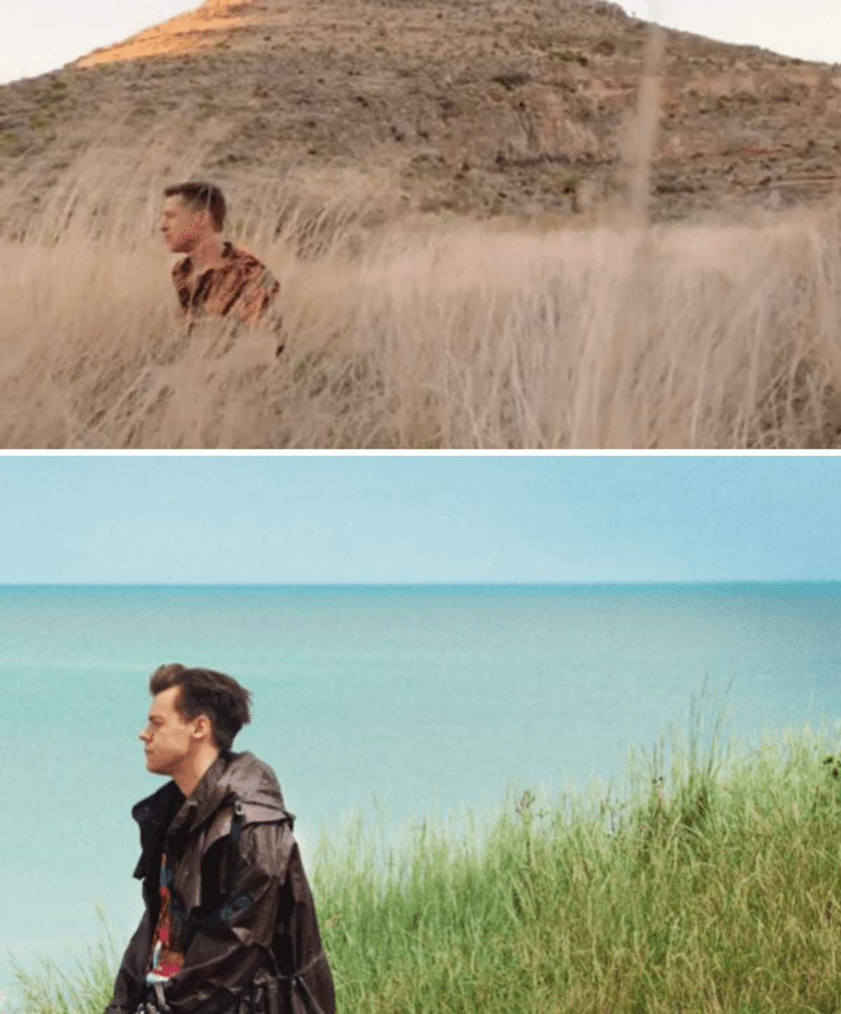 harry styles brad pitt